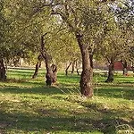 別荘 Terra Di Eloro *