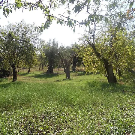 Prázdninový dům Terra Di Eloro *