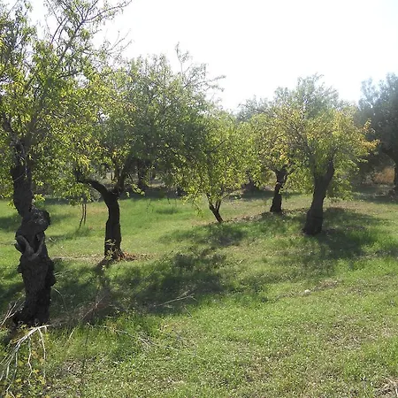 Terra Di Eloro