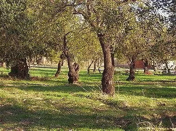 펜션 Terra Di Eloro *