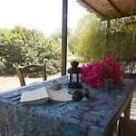 Terra Di Eloro *