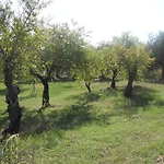 Terra Di Eloro