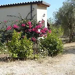 Terra Di Eloro *