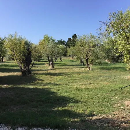Terra Di Eloro * Noto